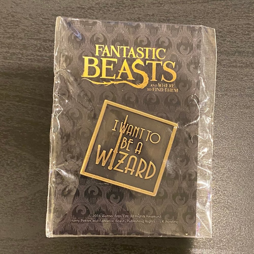 “I want to be a Wizard” Pin